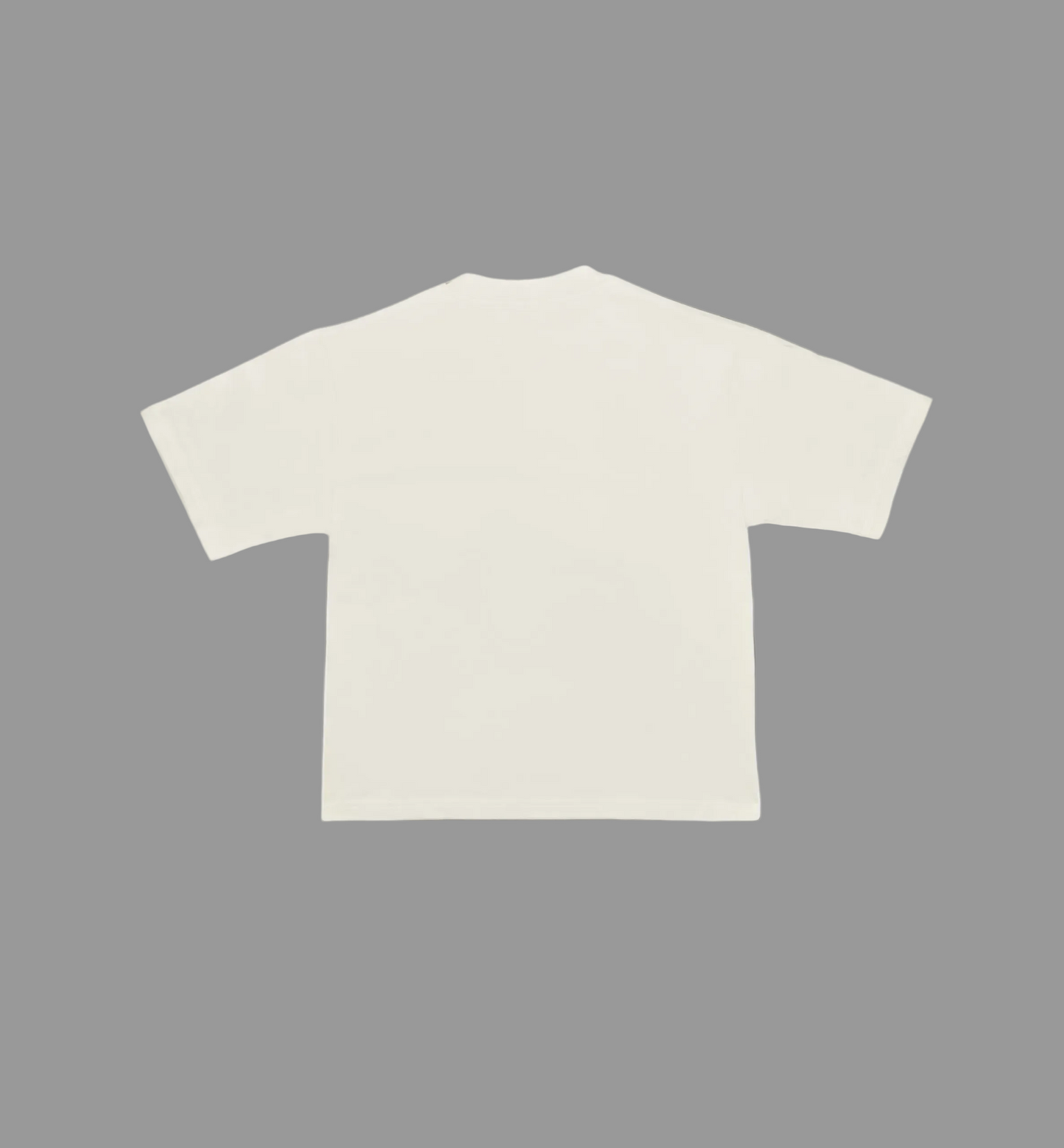 Blank Standard Classic Crew T-Shirt