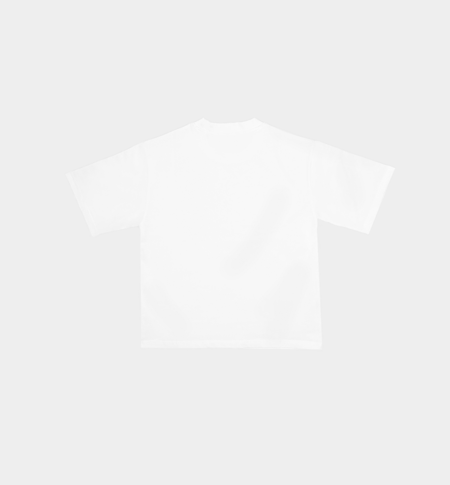 Blank Standard Classic Crew T-Shirt