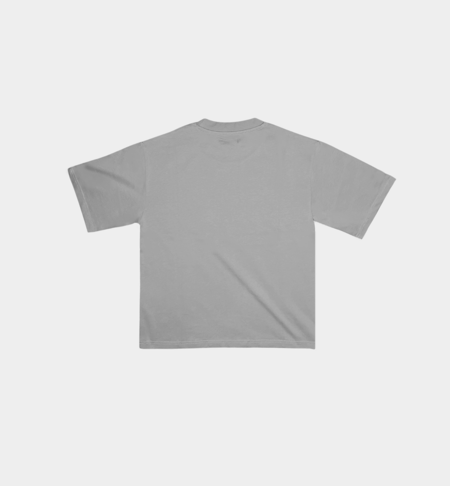 Blank Standard Classic Crew T-Shirt
