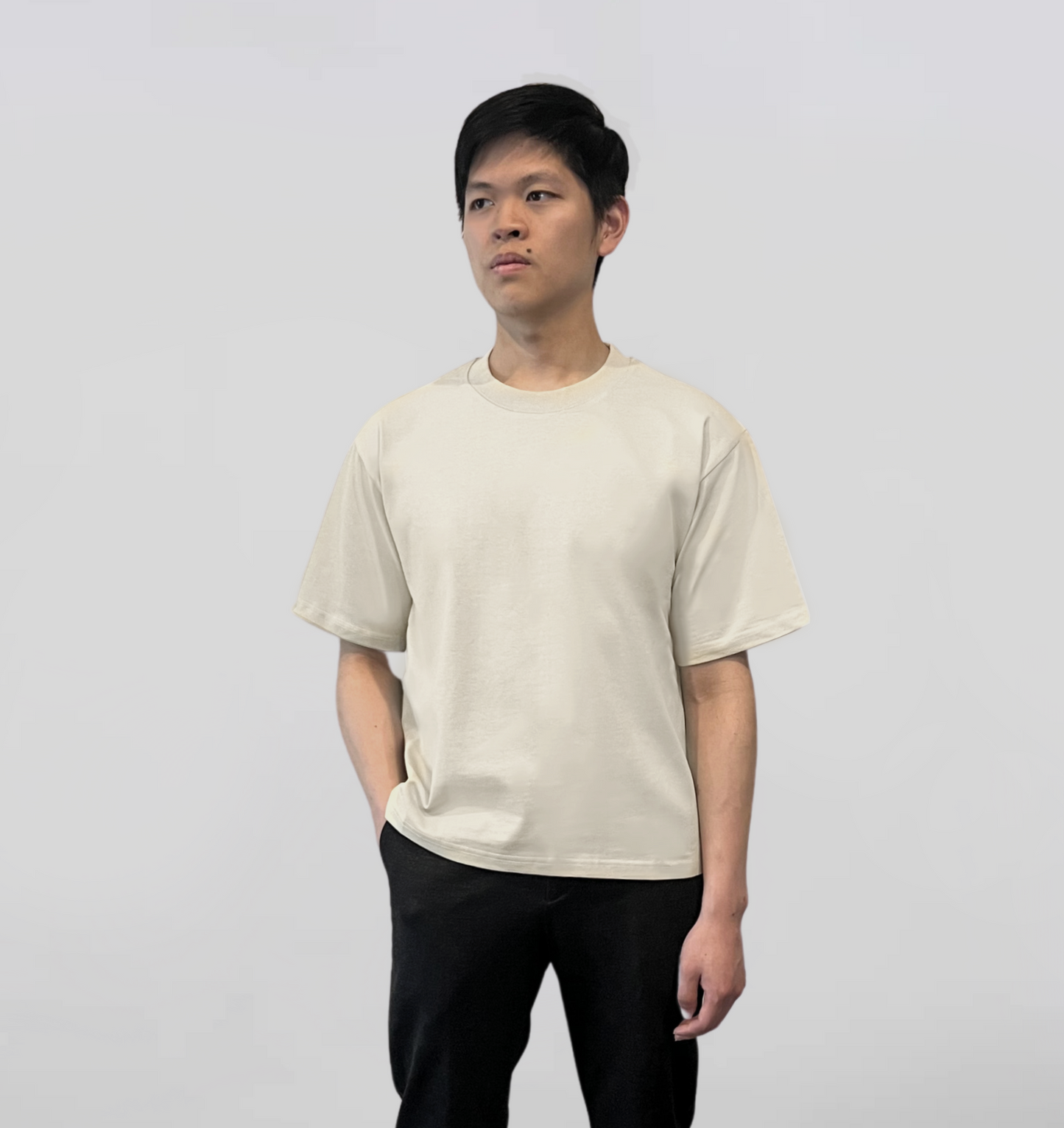 Blank Standard Classic Crew T-Shirt