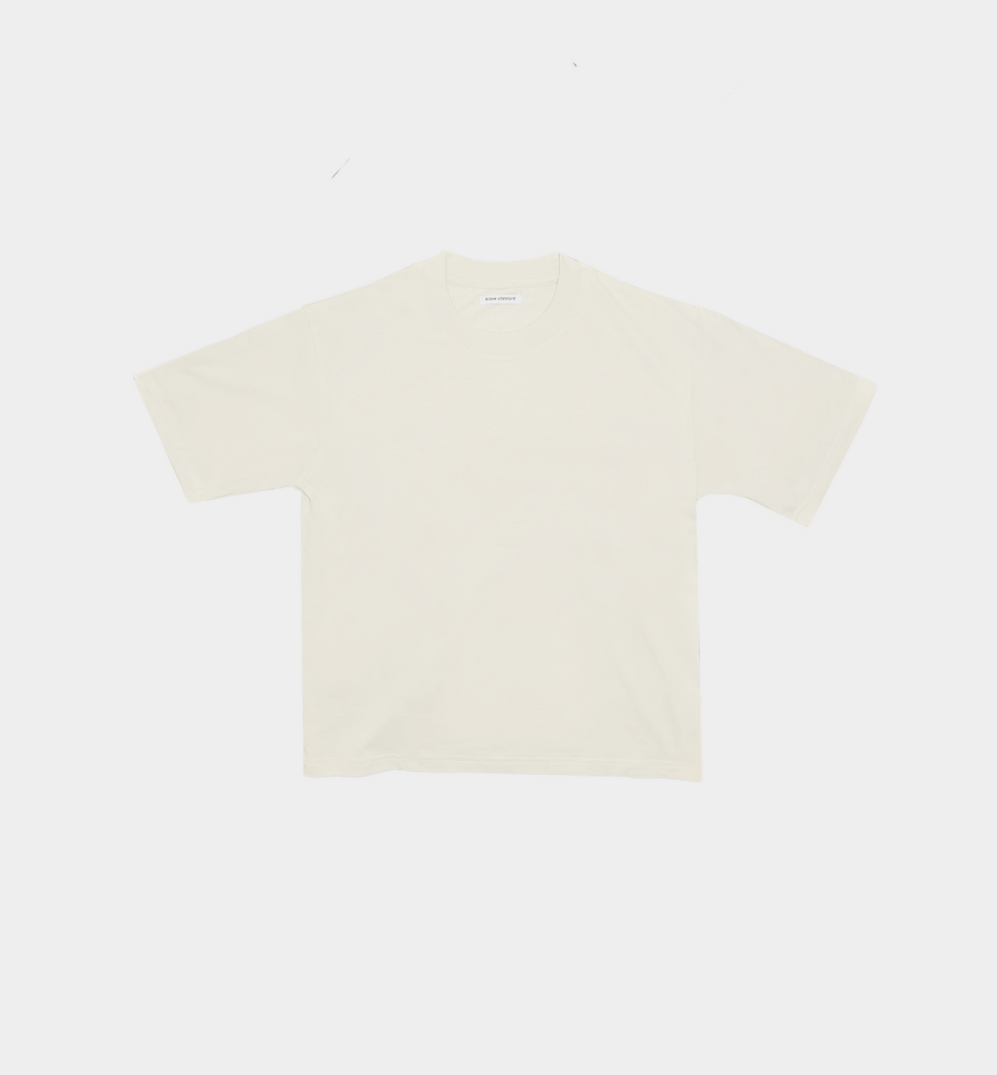Blank Standard Classic Crew T-Shirt