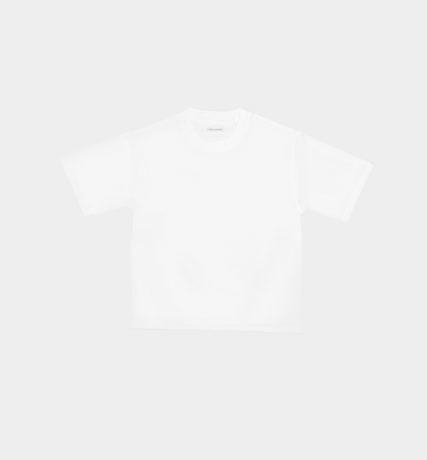 Blank Standard Classic Crew T-Shirt